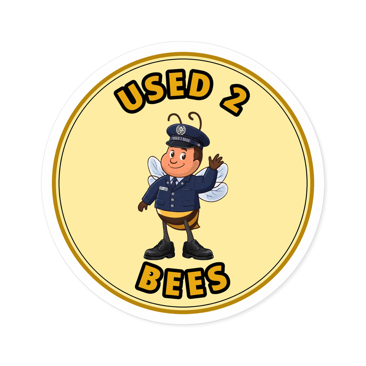 Used 2 Bees Circle Sticker — Air Force Dress (Male)