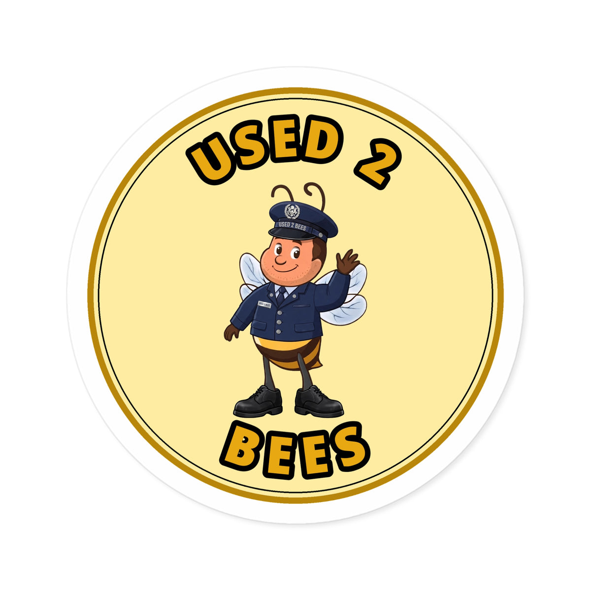 Used 2 Bees Circle Sticker — Air Force Dress (Male)