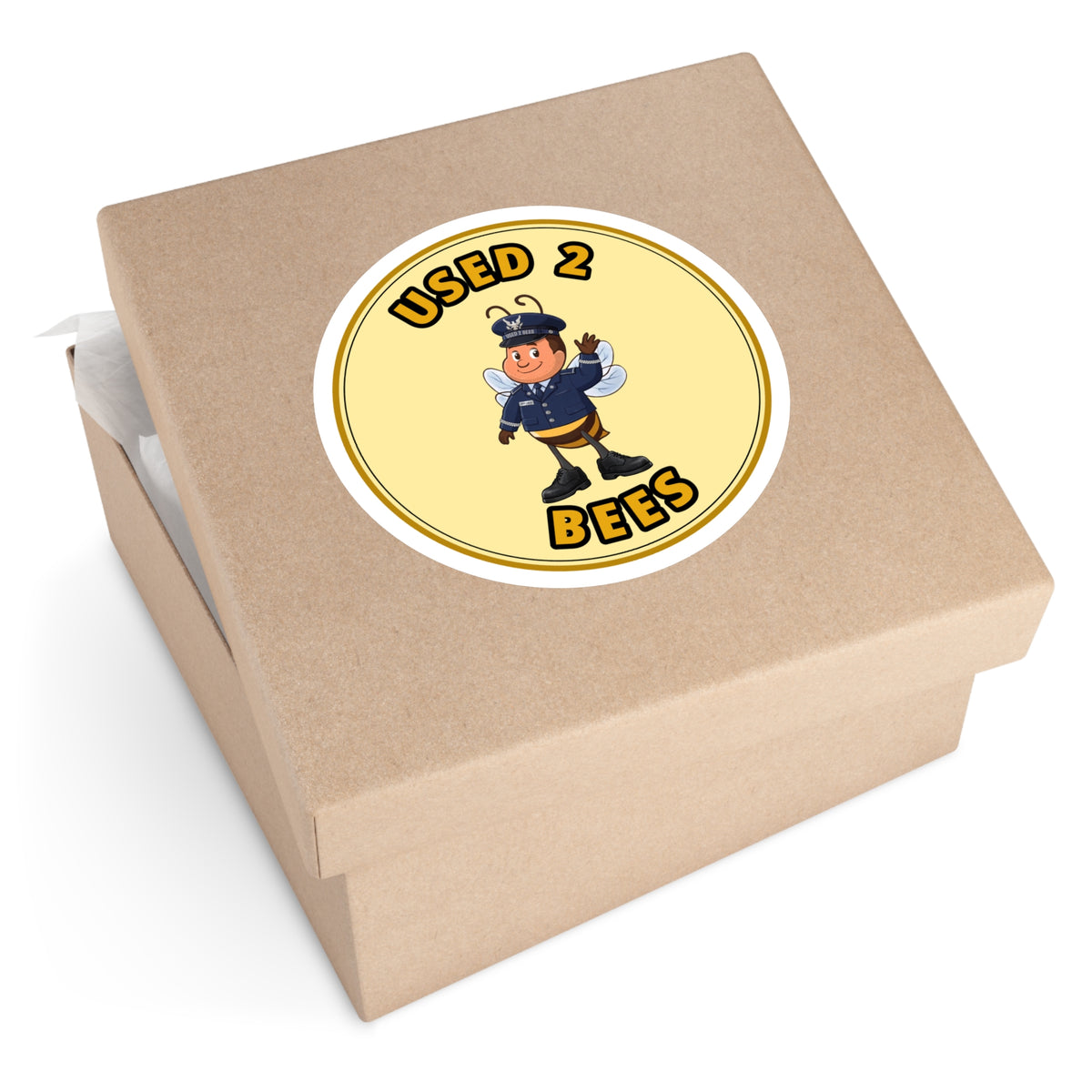 Used 2 Bees Circle Sticker — Air Force Dress Officer (Male)