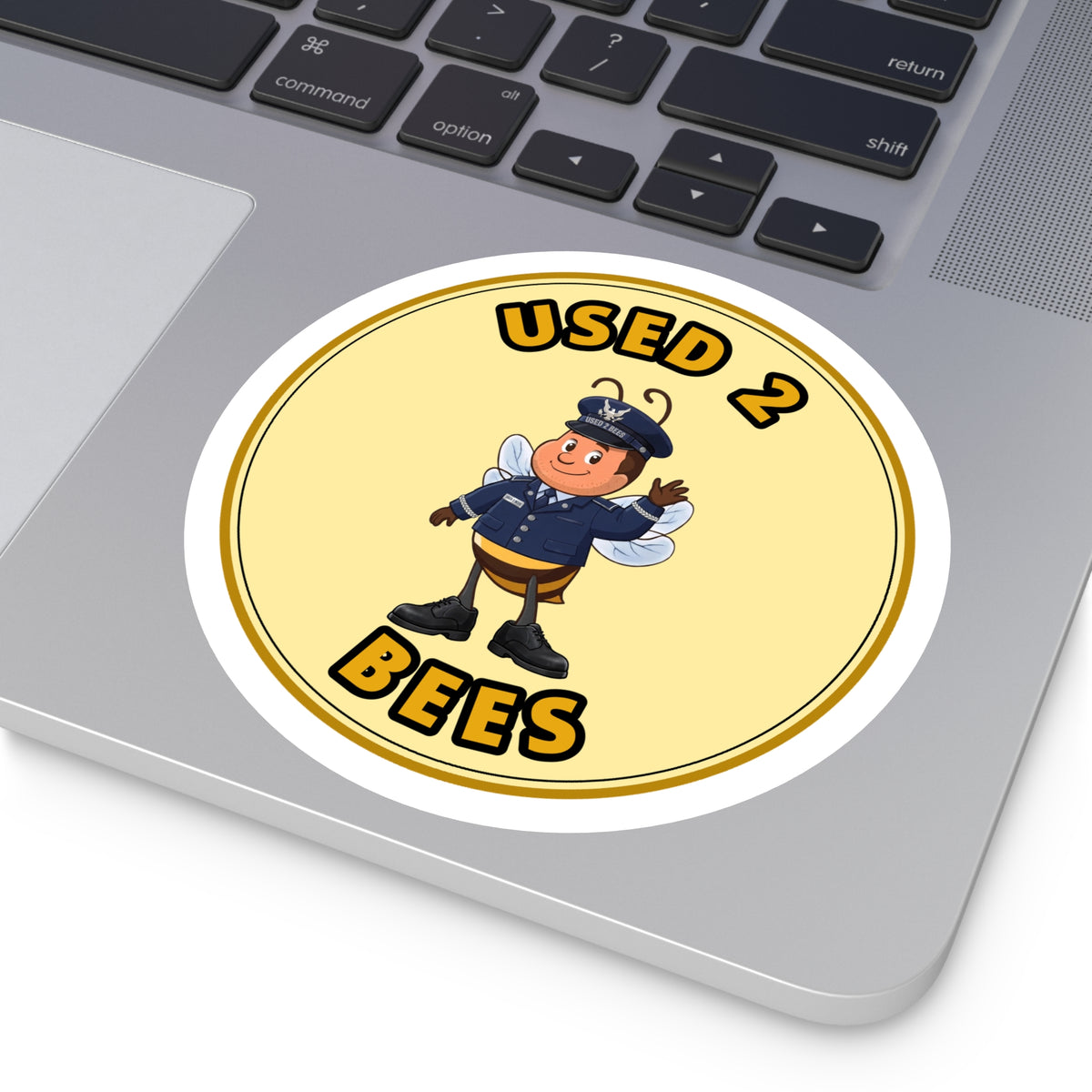 Used 2 Bees Circle Sticker — Air Force Dress Officer (Male)